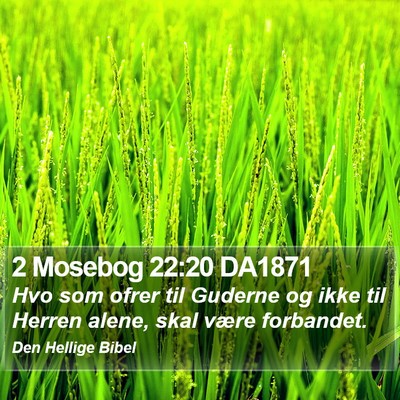 2 Mosebog 22:20 DA1871 Bible Verse Image