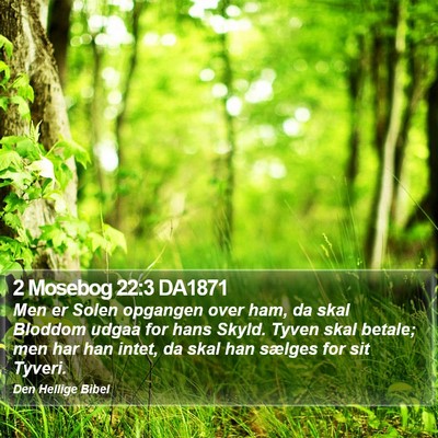2 Mosebog 22:3 DA1871 Bible Verse Image