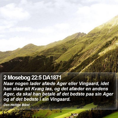2 Mosebog 22:5 DA1871 Bible Verse Image