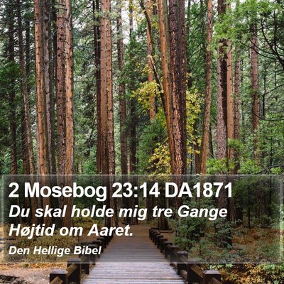 2 Mosebog 23:14 DA1871 Bible Verse Image