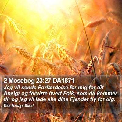 2 Mosebog 23:27 DA1871 Bible Verse Image