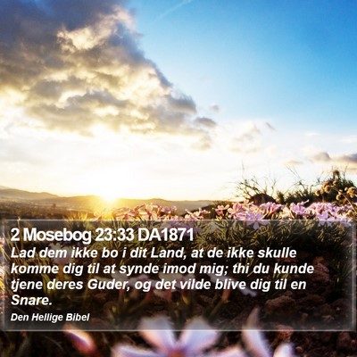 2 Mosebog 23:33 DA1871 Bible Verse Image