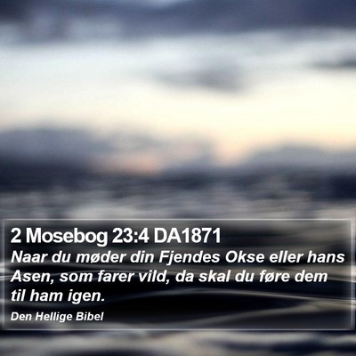 2 Mosebog 23:4 DA1871 Bible Verse Image
