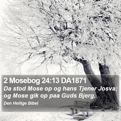 2 Mosebog 24:13 DA1871 Bible Verse Image