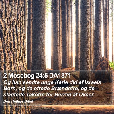2 Mosebog 24:5 DA1871 Bible Verse Image