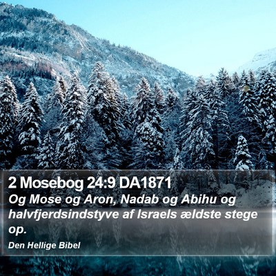 2 Mosebog 24:9 DA1871 Bible Verse Image
