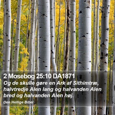 2 Mosebog 25:10 DA1871 Bible Verse Image