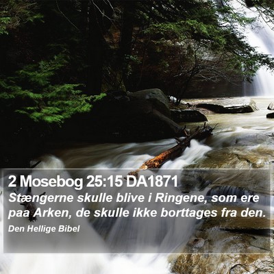 2 Mosebog 25:15 DA1871 Bible Verse Image