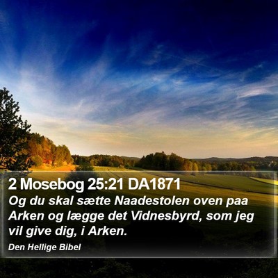 2 Mosebog 25:21 DA1871 Bible Verse Image
