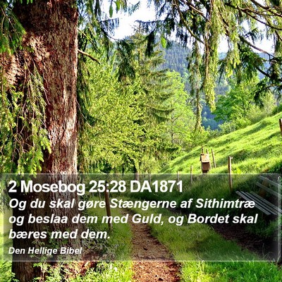 2 Mosebog 25:28 DA1871 Bible Verse Image