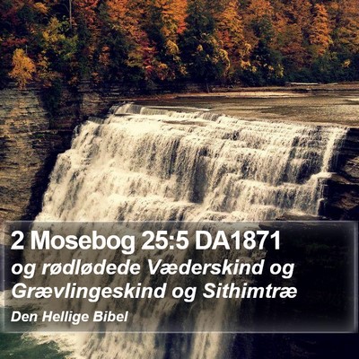 2 Mosebog 25:5 DA1871 Bible Verse Image