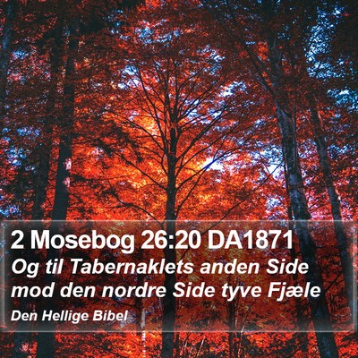 2 Mosebog 26:20 DA1871 Bible Verse Image
