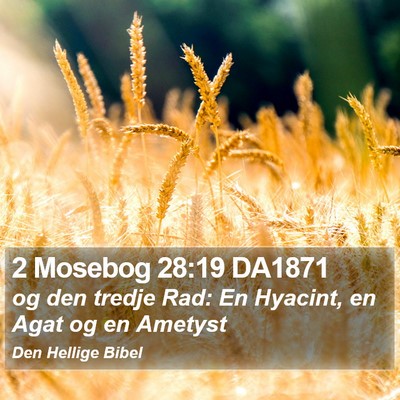 2 Mosebog 28:19 DA1871 Bible Verse Image