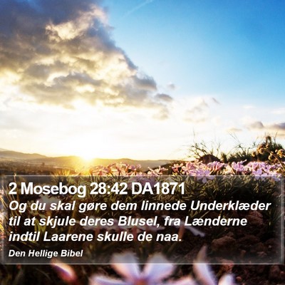 2 Mosebog 28:42 DA1871 Bible Verse Image