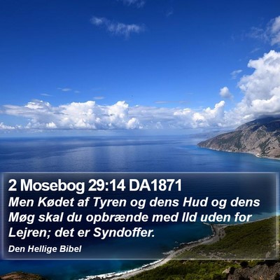 2 Mosebog 29:14 DA1871 Bible Verse Image