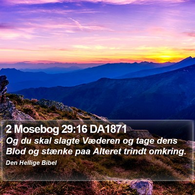 2 Mosebog 29:16 DA1871 Bible Verse Image