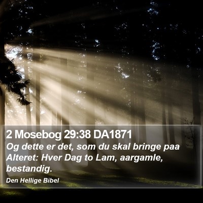 2 Mosebog 29:38 DA1871 Bible Verse Image