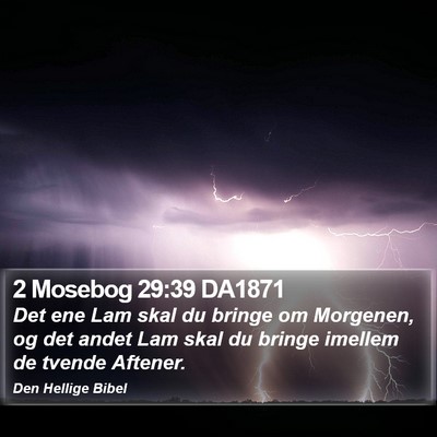 2 Mosebog 29:39 DA1871 Bible Verse Image