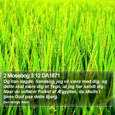 2 Mosebog 3:12 DA1871 Bible Verse Image