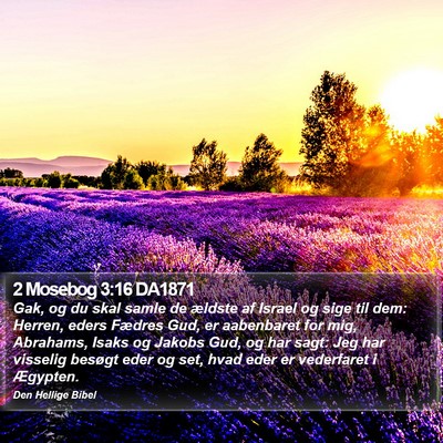 2 Mosebog 3:16 DA1871 Bible Verse Image