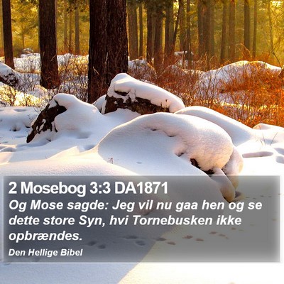 2 Mosebog 3:3 DA1871 Bible Verse Image