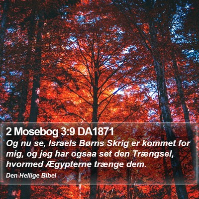 2 Mosebog 3:9 DA1871 Bible Verse Image