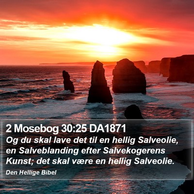 2 Mosebog 30:25 DA1871 Bible Verse Image