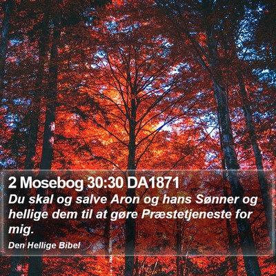 2 Mosebog 30:30 DA1871 Bible Verse Image