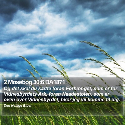 2 Mosebog 30:6 DA1871 Bible Verse Image