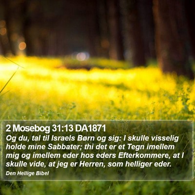 2 Mosebog 31:13 DA1871 Bible Verse Image