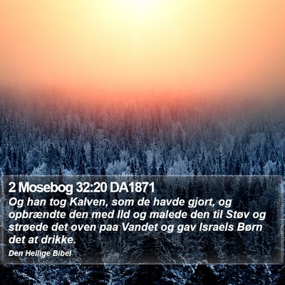 2 Mosebog 32:20 DA1871 Bible Verse Image