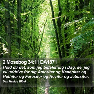 2 Mosebog 34:11 DA1871 Bible Verse Image