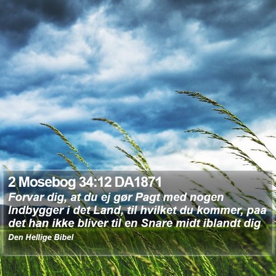 2 Mosebog 34:12 DA1871 Bible Verse Image