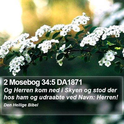 2 Mosebog 34:5 DA1871 Bible Verse Image