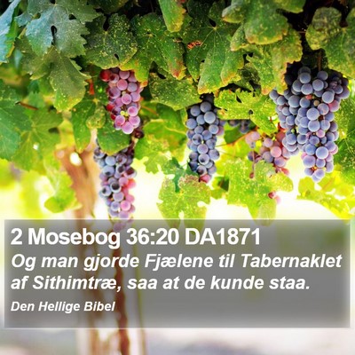 2 Mosebog 36:20 DA1871 Bible Verse Image