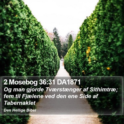 2 Mosebog 36:31 DA1871 Bible Verse Image