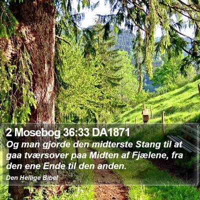 2 Mosebog 36:33 DA1871 Bible Verse Image