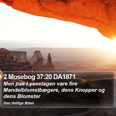 2 Mosebog 37:20 DA1871 Bible Verse Image