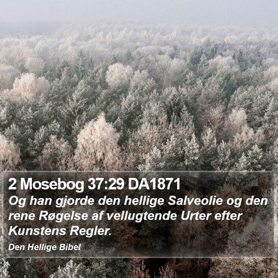 2 Mosebog 37:29 DA1871 Bible Verse Image