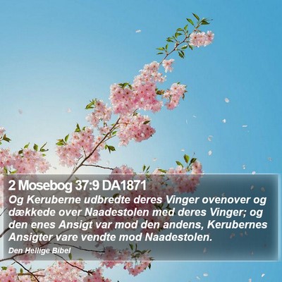 2 Mosebog 37:9 DA1871 Bible Verse Image