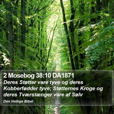 2 Mosebog 38:10 DA1871 Bible Verse Image