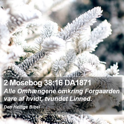 2 Mosebog 38:16 DA1871 Bible Verse Image