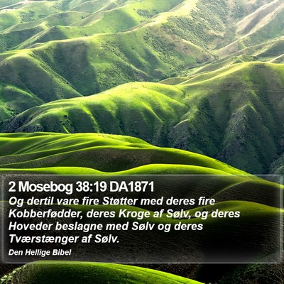 2 Mosebog 38:19 DA1871 Bible Verse Image