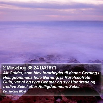 2 Mosebog 38:24 DA1871 Bible Verse Image