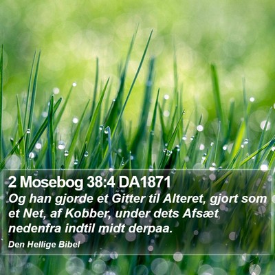 2 Mosebog 38:4 DA1871 Bible Verse Image