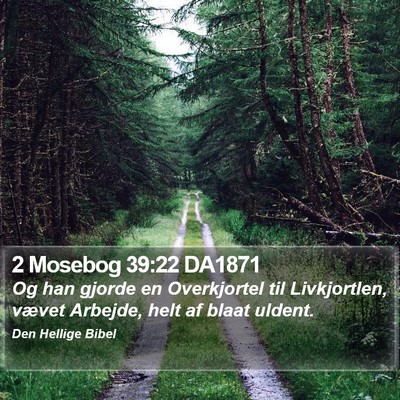 2 Mosebog 39:22 DA1871 Bible Verse Image