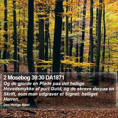 2 Mosebog 39:30 DA1871 Bible Verse Image
