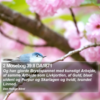 2 Mosebog 39:8 DA1871 Bible Verse Image