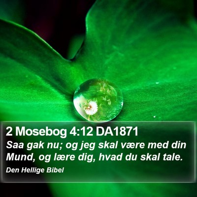 2 Mosebog 4:12 DA1871 Bible Verse Image