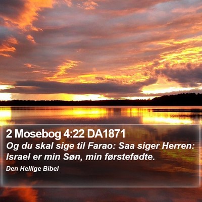 2 Mosebog 4:22 DA1871 Bible Verse Image